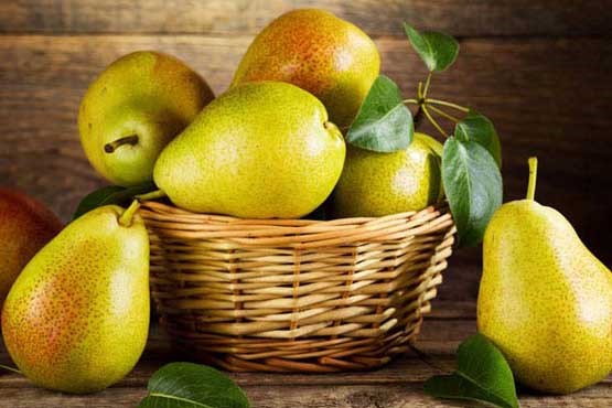 با خواص و مضرات گلابی آشنا شوید؟