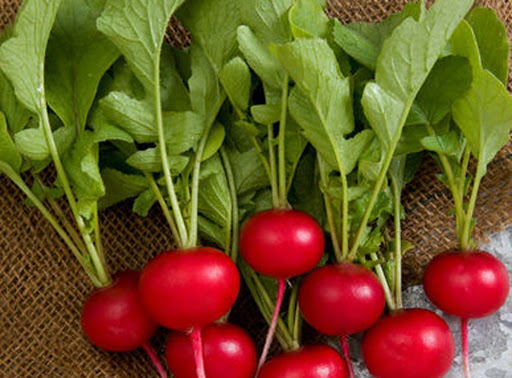 آشنایی با فواید و مضرات تربچه