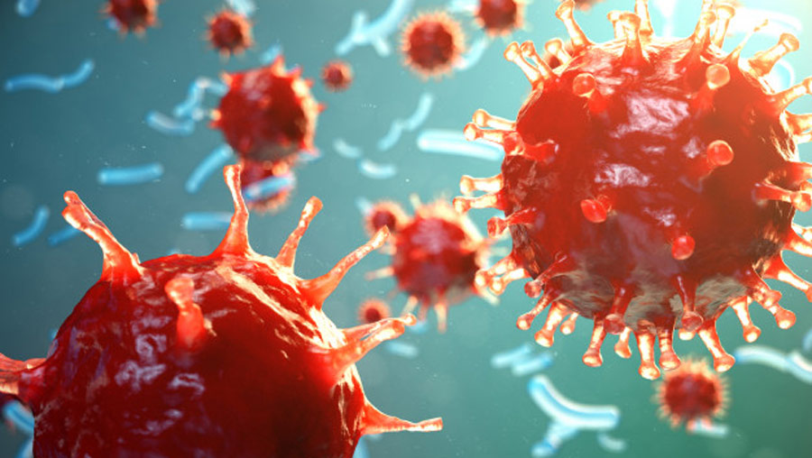 همه چیز درباره هپاتیت