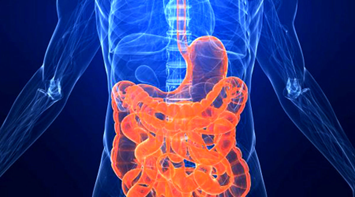 آشنایی با شکر سرخ و فواید آن