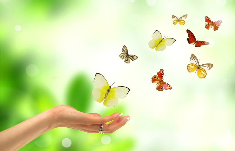 برای داشتن اراده قوی چه باید کرد؟