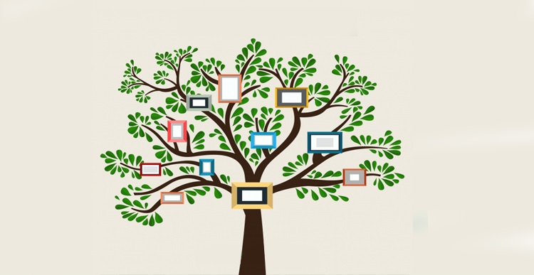 درخت تصمیم گیری چیست و چه کاربردی دارد؟