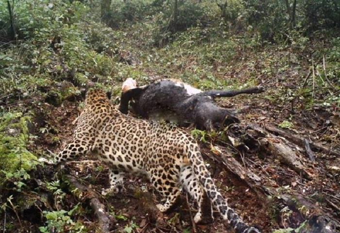 گشت و گذاری در روستای دیلمان