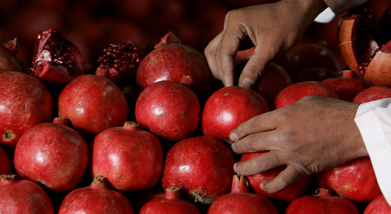 آداب و رسوم شب یلدا در ایران
