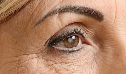 خواص اعجاب انگیز گیاه آویشن