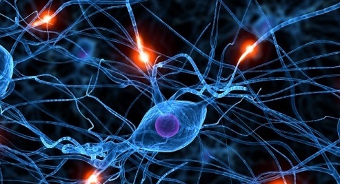 14 خاصیت درمانی خرما