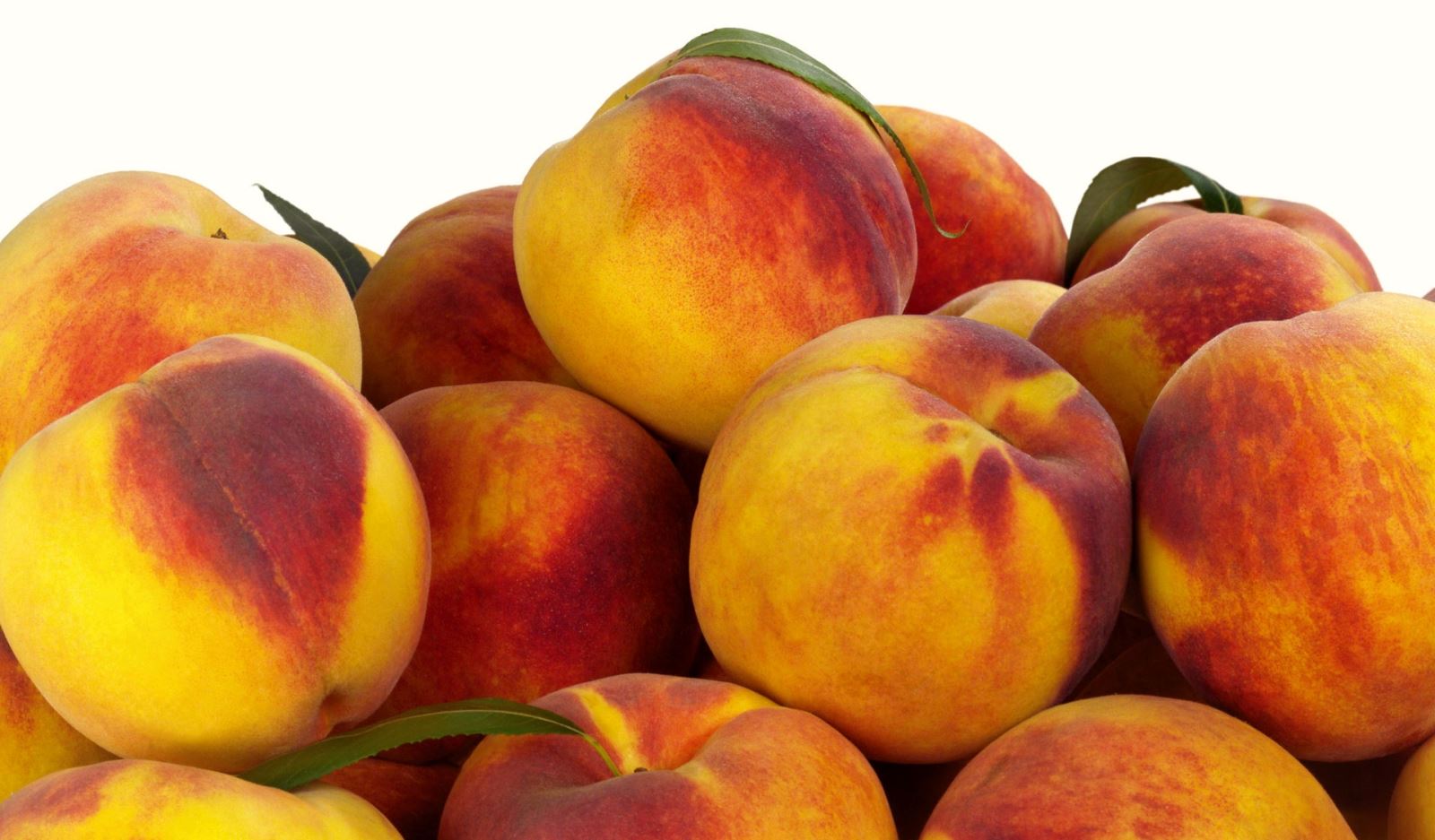 خواص میوه شفت آلو