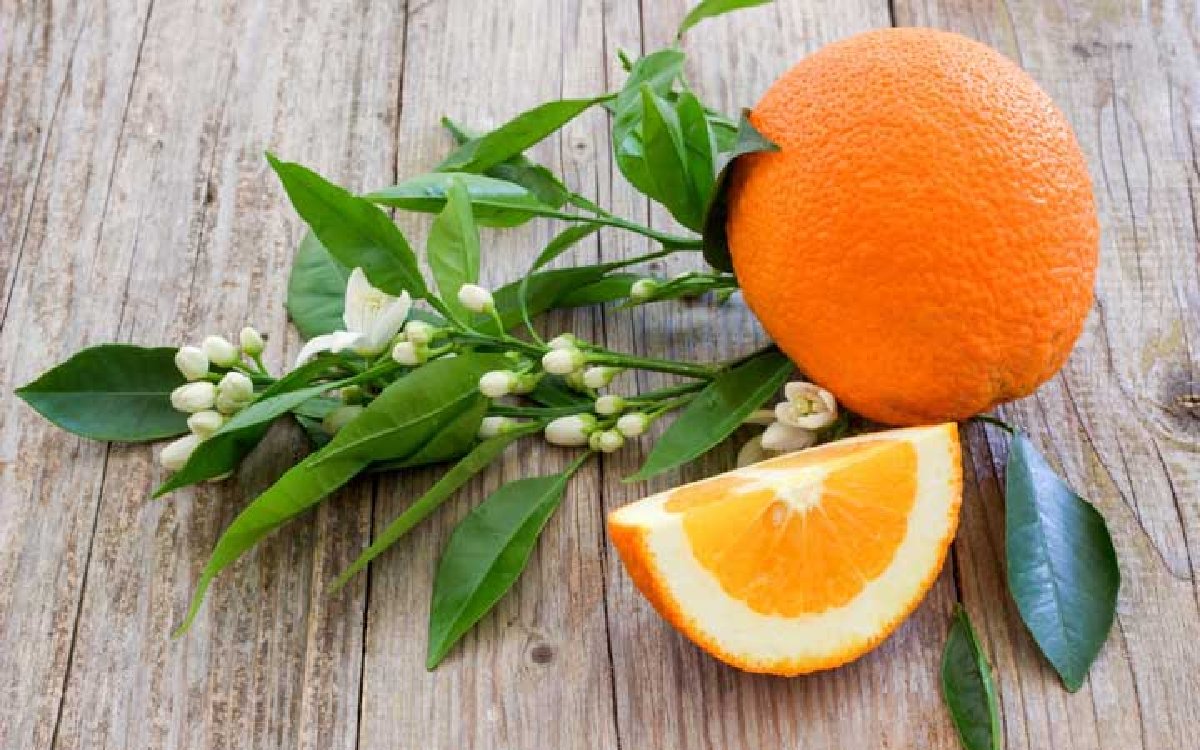 آشنایی با فواید و مضرات نارنج
