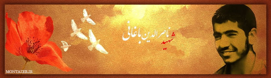 درباره شهیدناصرالدین باغانی