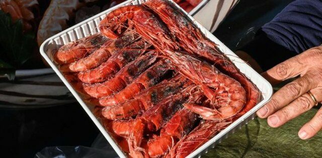 آخرین اخبار مربوط به Covid19 در ایران و جهان