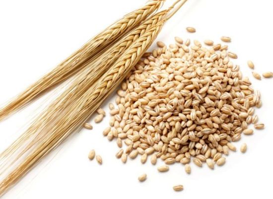 دستور پخت آش جو با سیرابی