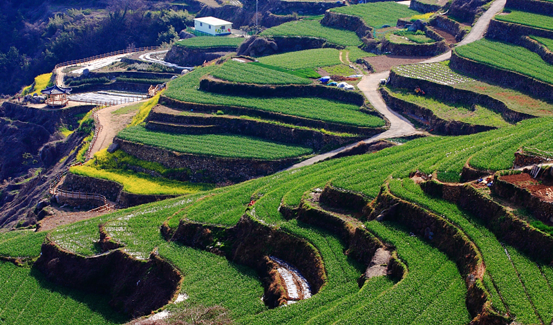 جاهای دیدنی کشور کره جنوبی