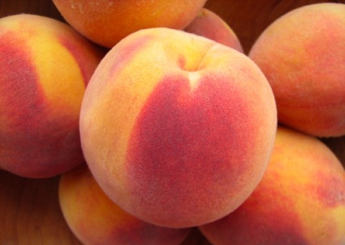 خواص میوه شفت آلو