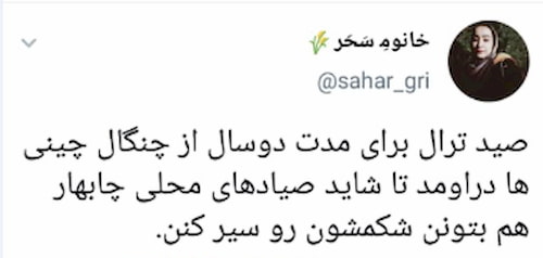 نجات محیط زیست دریا و معیشت ماهیگیران بومی/ بالاخره صید ترال ممنوع شد