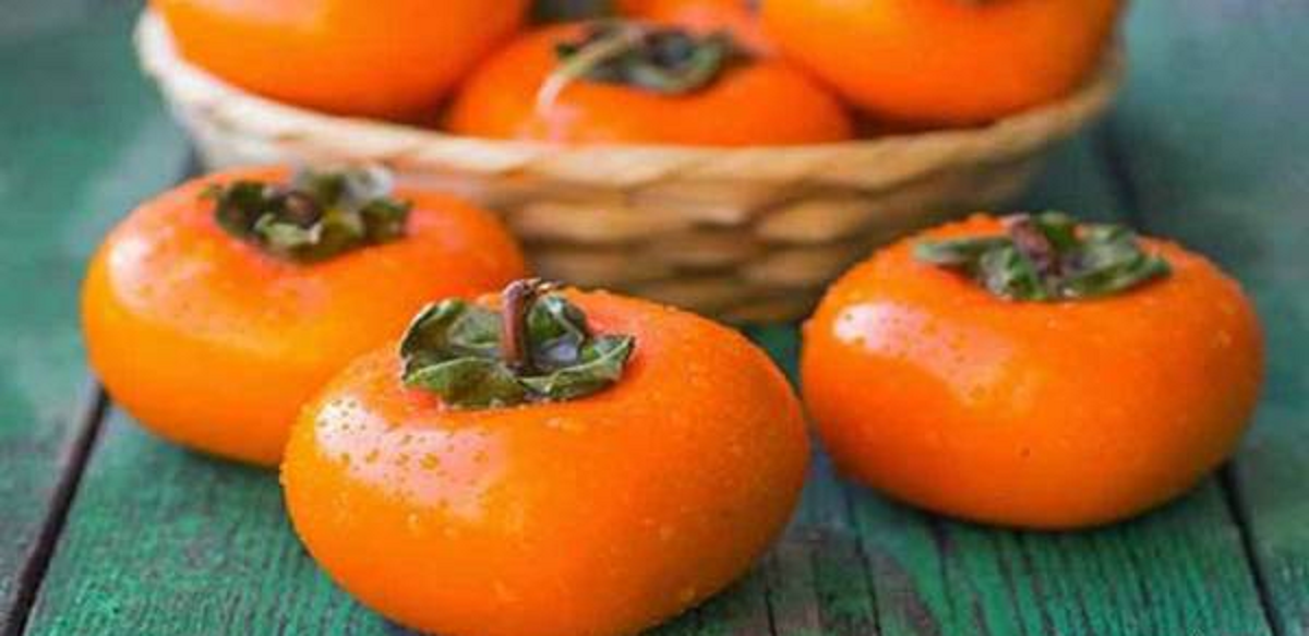 علت سکسکه چیست و با چه روش هایی درمان می‌شود