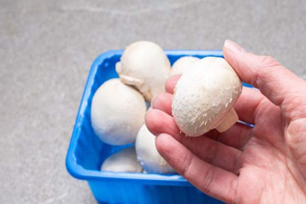 بهترین روش شستشو قارچ چگونه است؟