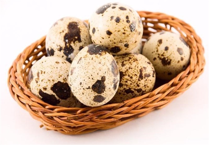 گوشت بلدرچین و یک دنیا خاصیت