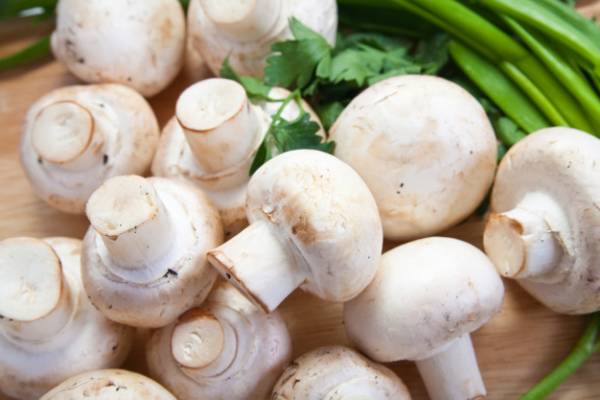 دستور پخت پنکیک قارچ