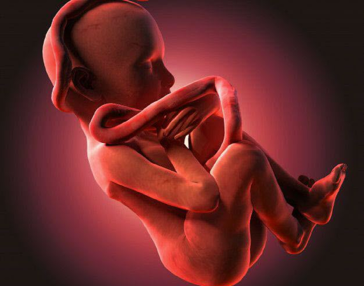 هر آن چیزی که باید در خصوص عفونت در بارداری و تاثیر آن بر جنین بدانیم
