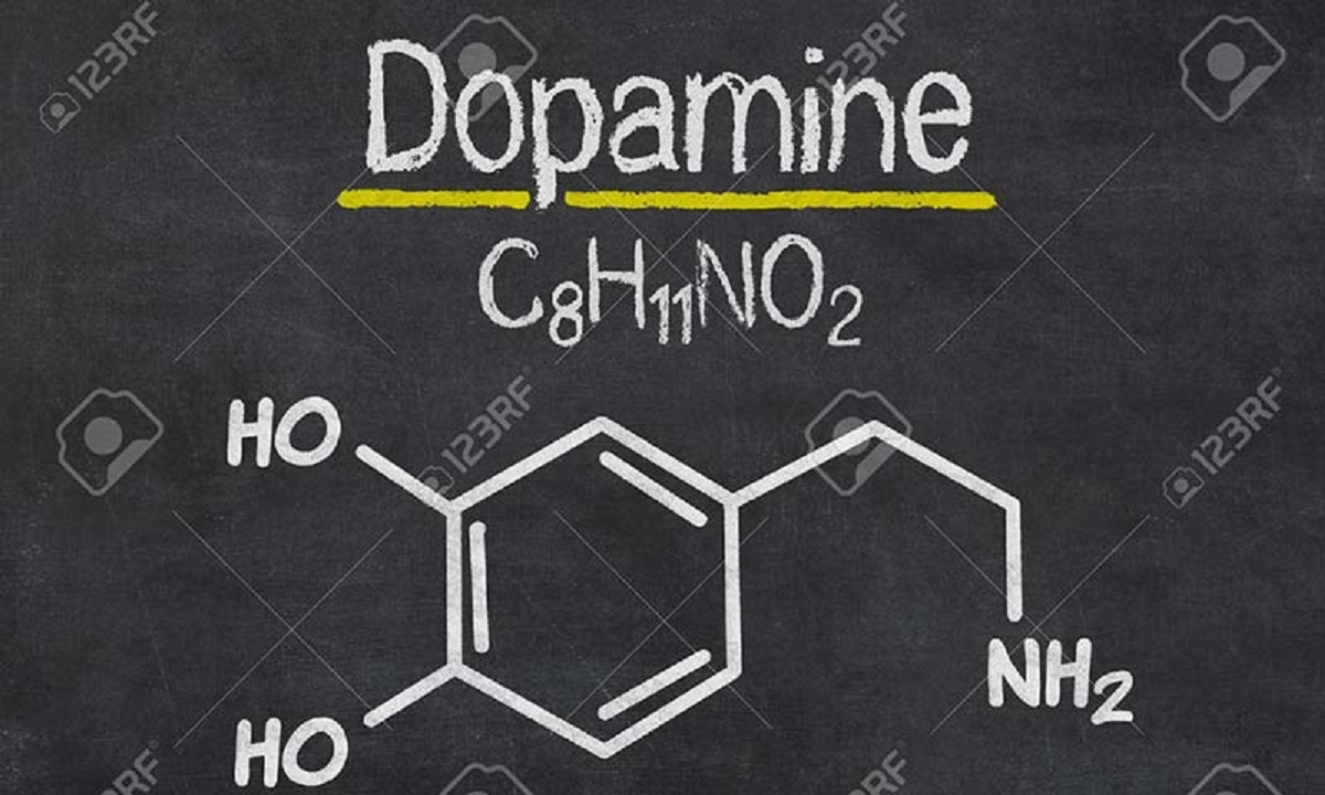 هورمون دوپامین و عملکردی در بروز احساسات دارد
