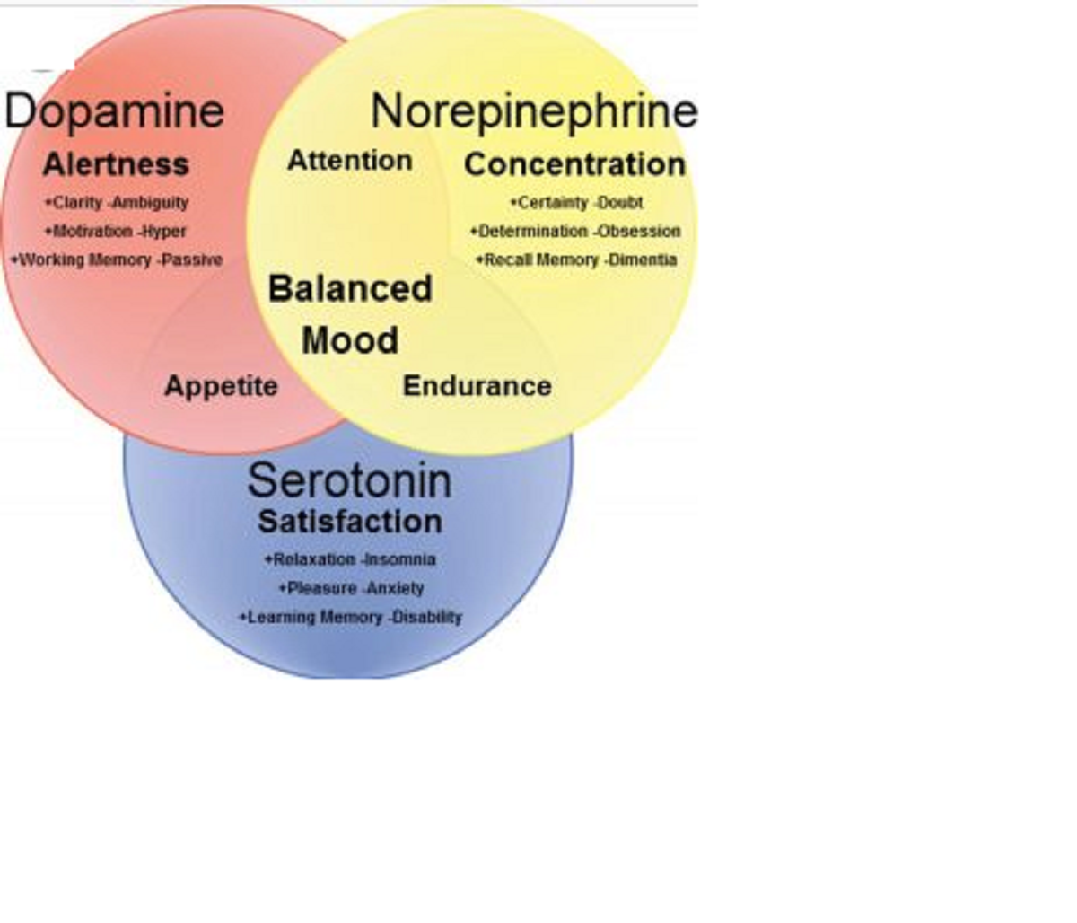 هورمون دوپامین و عملکردی در بروز احساسات دارد
