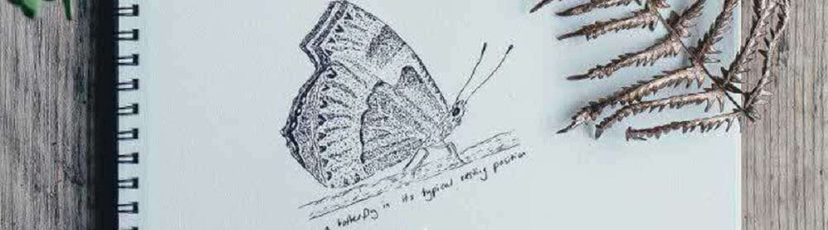 تکنیکهای کاربردی برای افزایش خلاقیت