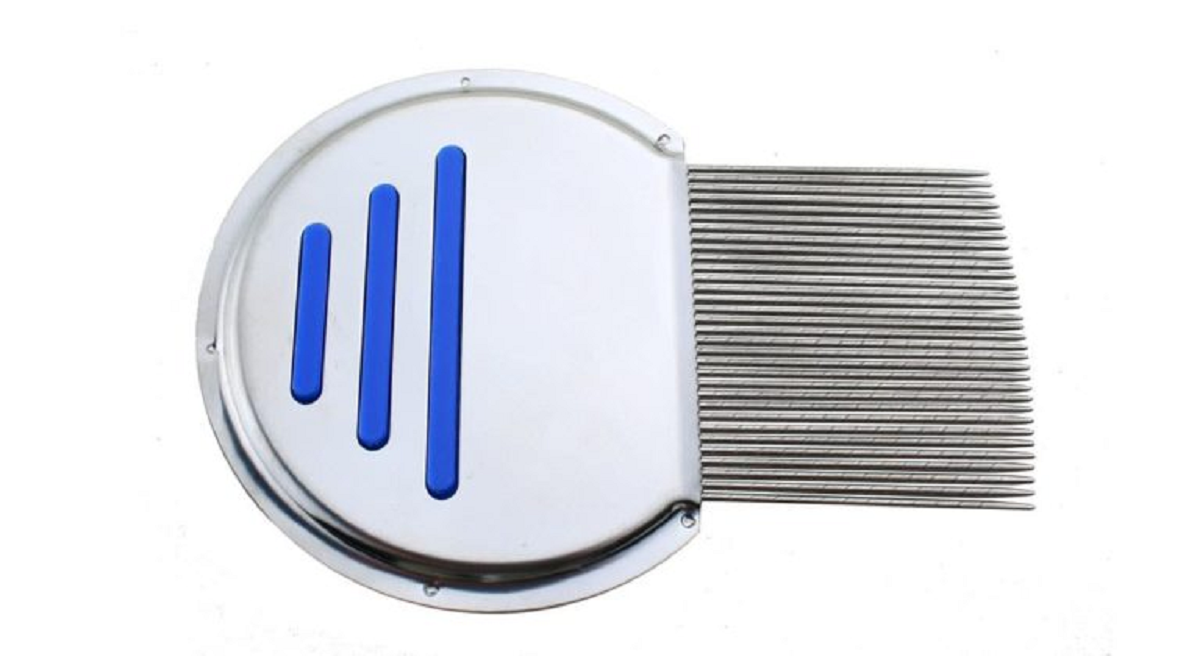 درمان شپش سر با روش های اصولی و موثر خانگی