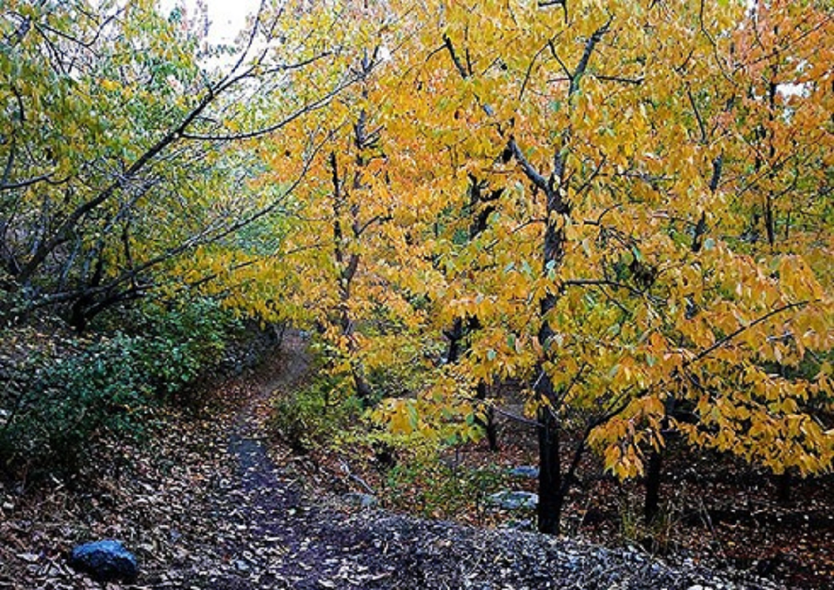 طبیعت دیدنی و زیبای وردیج در اطراف تهران