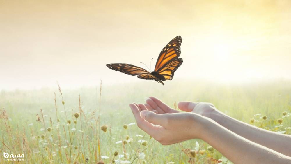 راه کار هایی برای بخشیدن خود