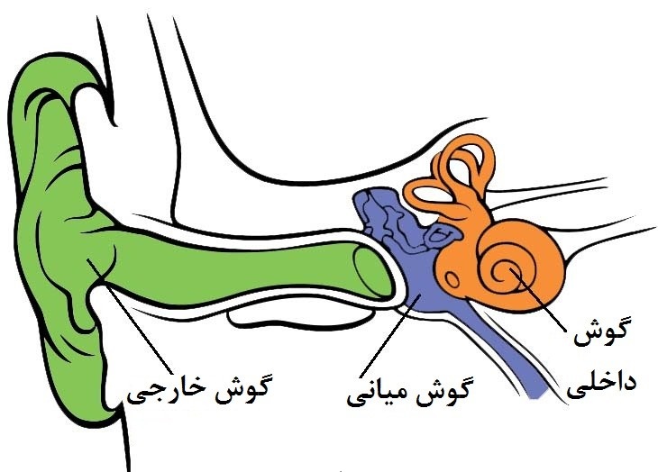 علت بیماری منیر چیست و چگونه درمان میشود؟