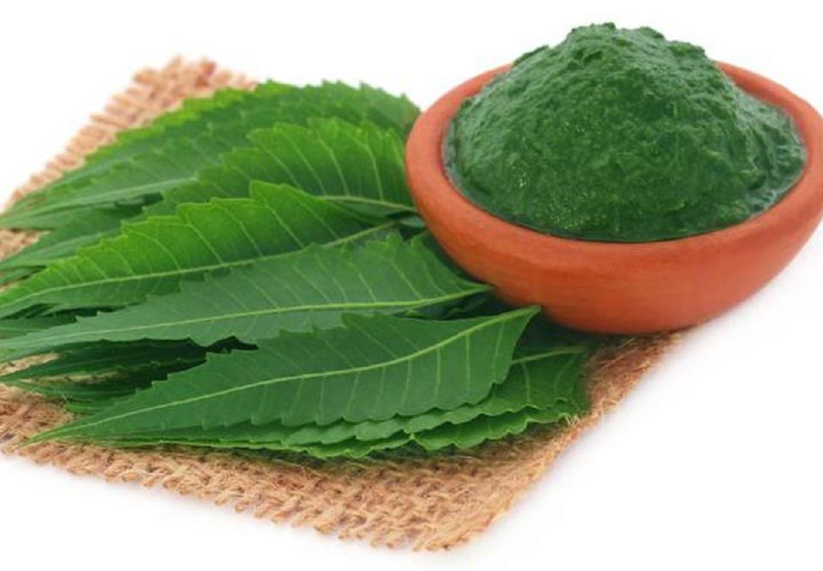 درمان شپش سر با روش های اصولی و موثر خانگی