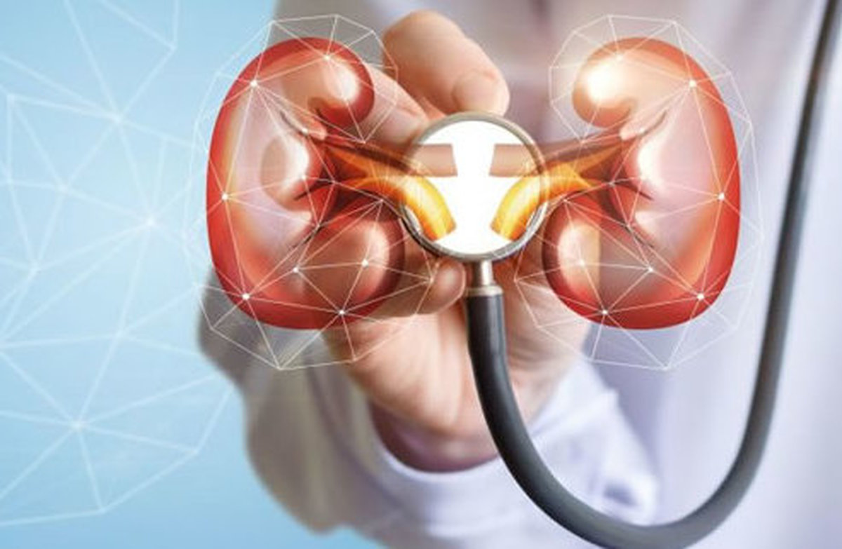 خواص گیاه صد تومنی برای سلامتی