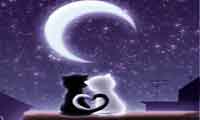 شب وصال