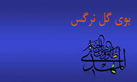 بوی گل نرگس بوی گل نرگس