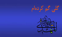 گلی گم کردهام گلی گم کردهام