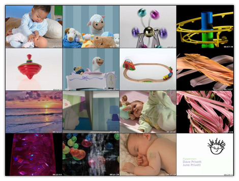 Baby Einstein Baby Einstein