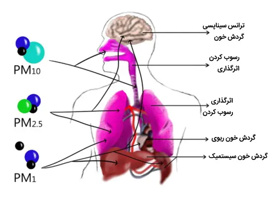 چه چیزی در آلودگی هواست که مضر است و باعث مرگ می شود؟