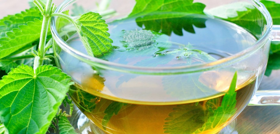 دستور تهیه 7 مدل دمنوش