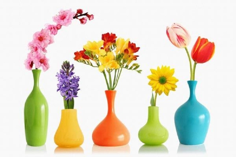 فنگ شویی ثروت چیست و نکات مهم مرتبط با آن کدامند؟