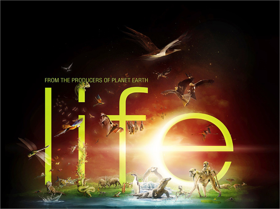 مجموعه مستند زندگی (Life)