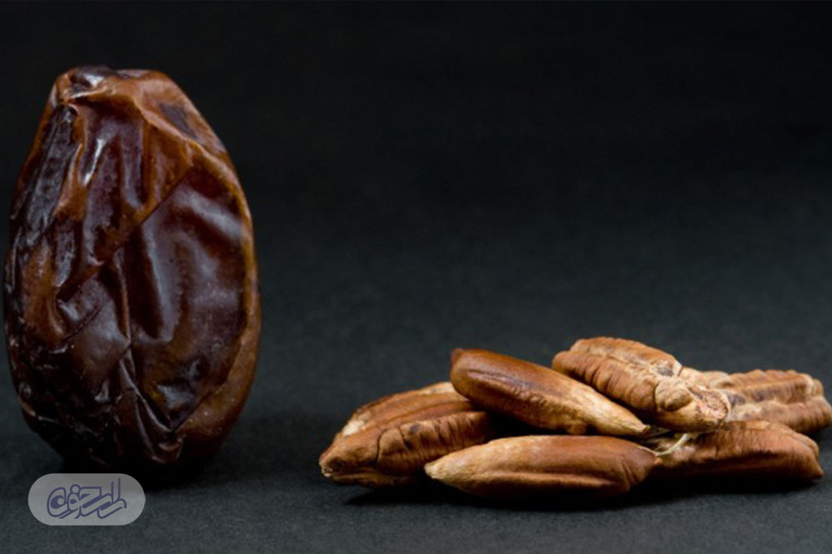 طبع خرما چگونه است؟ طبع خرما چگونه است؟