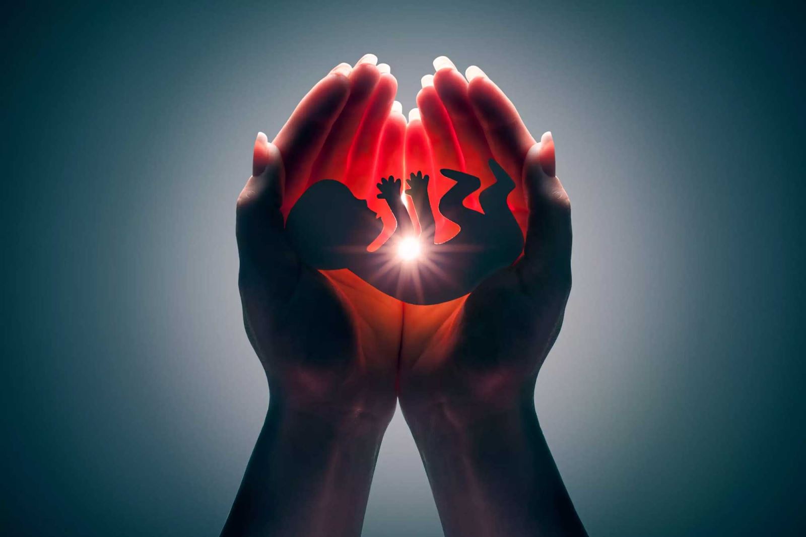 سقط جنایی 60 برابر سقط درمانی