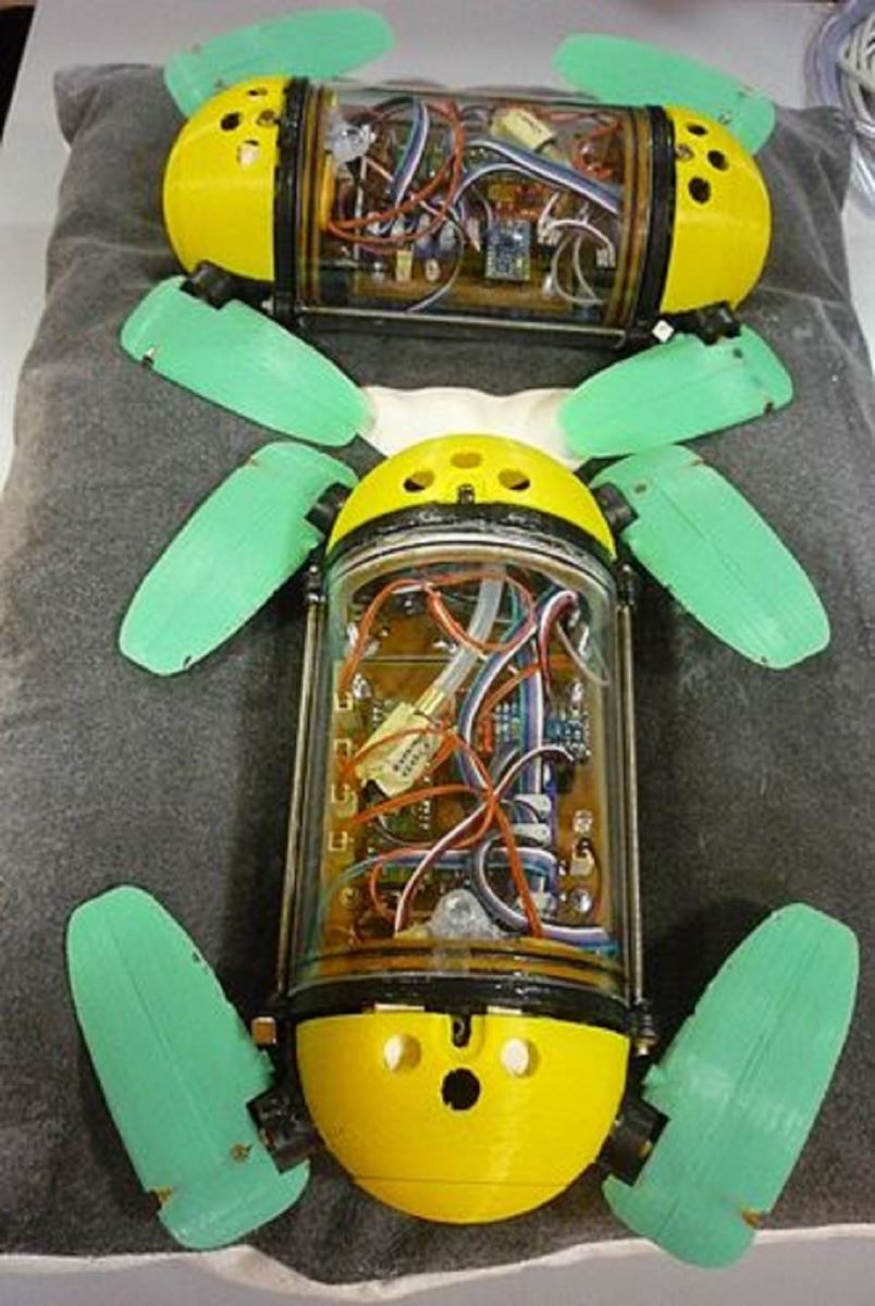 روباتیک الهام گرفته شده از زیست شناسی