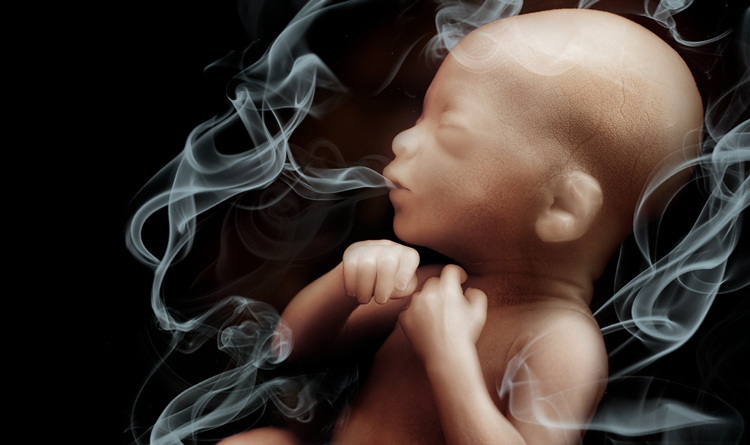 تاثیر سیگار روی جنین تاثیر سیگار روی جنین