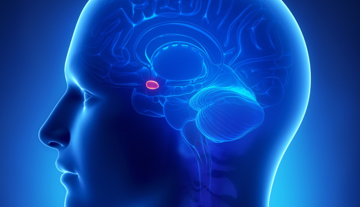 چطور نوجوان زود عصبی و عصبانی می شود؟