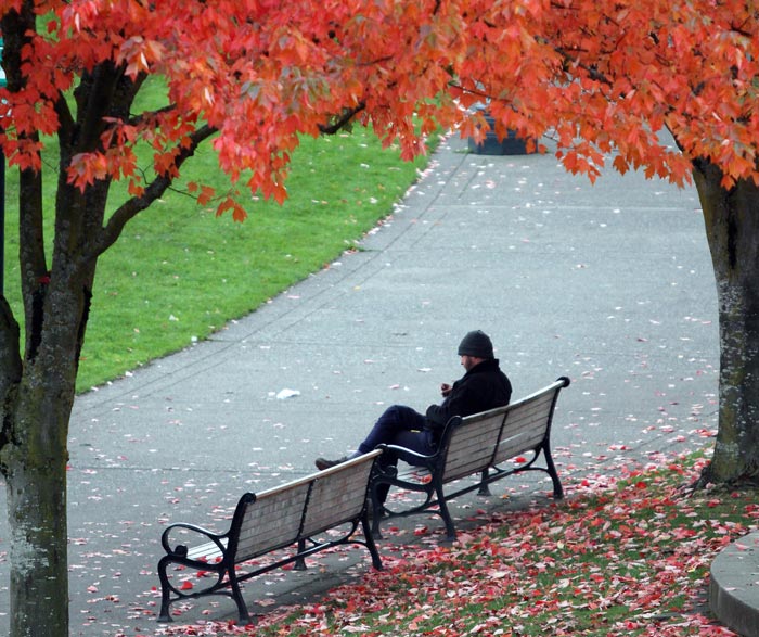 چرا خلوت ارزشمند است؟