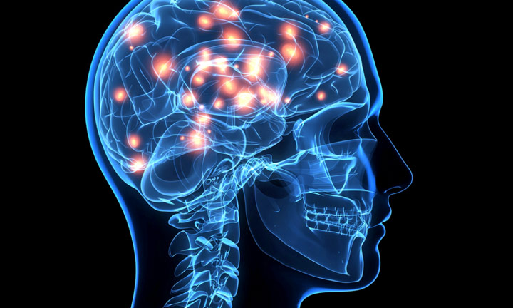 ۱۲ دلیل مهم برای مصرف گیلاس و آلبالو