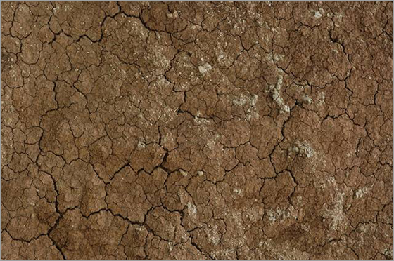 تکسچرهای سایت CG Textures تکسچرهای سایت CG Textures
