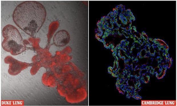 آخرین اخبار مربوط به Covid19 در ایران و جهان