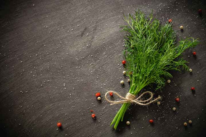 ۱۴ خاصیت سبزی شوید